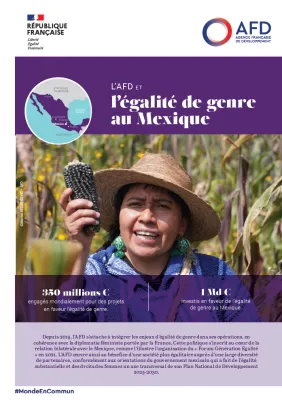 afd égalité de genre mexique